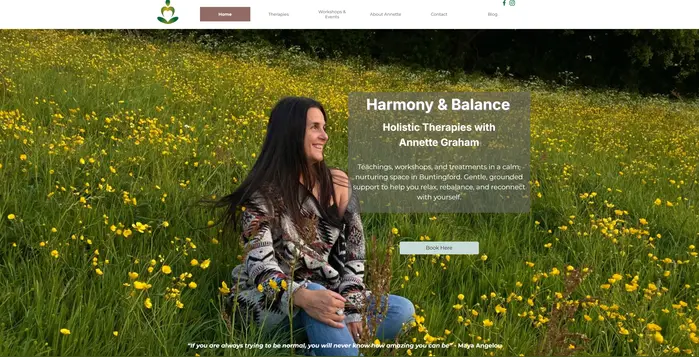Harmony and Balance Website